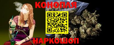 сатива Обь